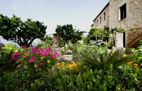 Casa Cappuccini Garten